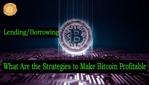  What Are the Strategies to Make Bitcoin Profitable